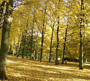 Französischer Garten  in Celle