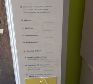 Museum für Naturkunde