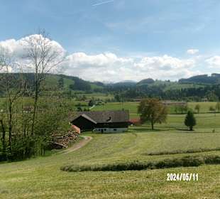 Wandern Grünenbach