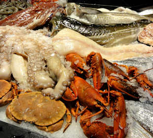 Frischer Fisch im Kühltresen des Restaurants