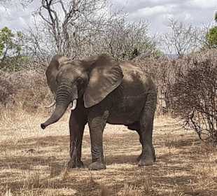 Tourguides Nabil & Klaus Mohamed