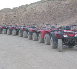 Primasol Beach Albatros Resort