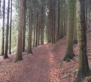Wandern Tecklenburg