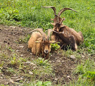 Wandern St. Johann im Pongau