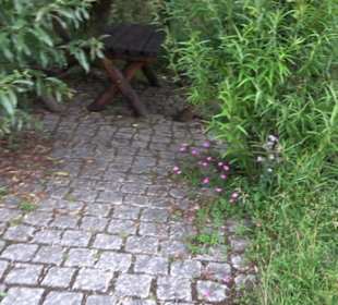 ALB-GOLD Naturgarten