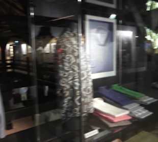 Theodor Zink Museum