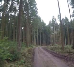 Wanderstrecke Panoramaweg D1