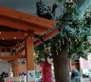 Restaurant Waldachtal Albblick