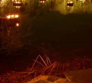Fredenbaumpark Mittelalterlicher Weihnachtsmarkt