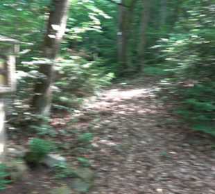 Kreuzweg zum Tannenrain