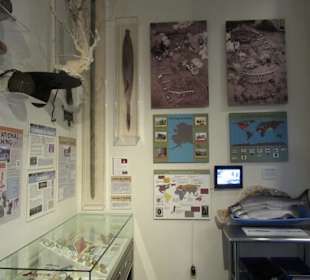 Im City Museum Juneau