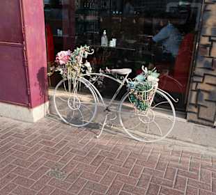 Ausflug mit dubai-privat.de