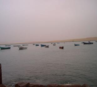 Péninsule de Paracas