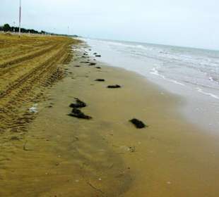 Ende September 2010 Impressionen