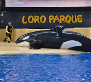 Loro Parque