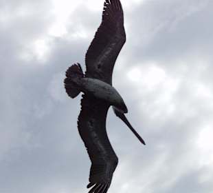 Mexiko, Isla Mujeres