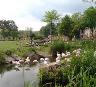 Zoo Leipzig