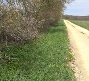 Vulkankrater-Rundweg Apfelstetten