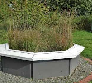 Moorbiotop im Natureum Niederelbe