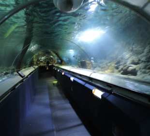 Tunnel unter dem Wasser