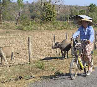 Strassenverkehr auf Don Khong