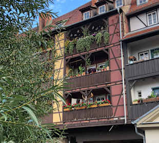Altstadt Erfurt