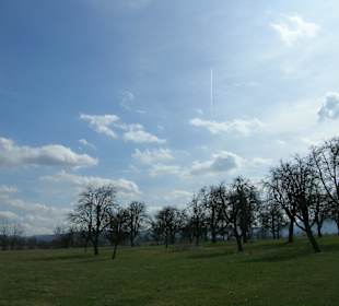 I boschi attorno al castello