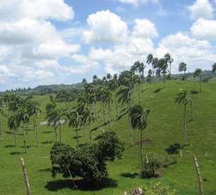 Aussicht auf Jurassic Park Kulisse