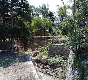 Knossos in Heraklion