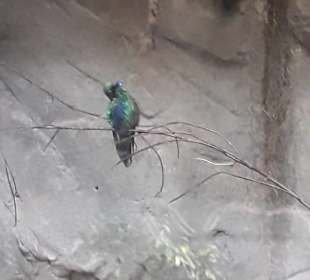 Weltvogelpark Walsrode