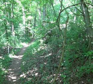 Wanderweg Sieben-Täler-Runde 