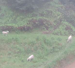 Blick aus der Seilbahn