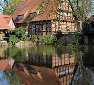 Dorfrundgang Wienhausen