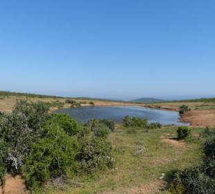 Große Flächen zum Verstecken