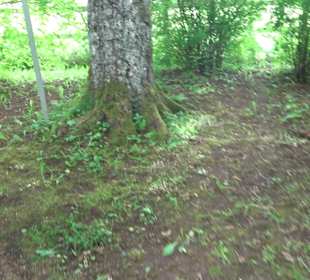 Gebetsgarten Heiligenbronn