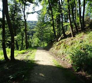 Wanderung durch die Kleine Luxemburger Schweiz
