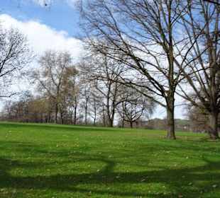 Rosensteinpark Übergang zu Schlossgarten