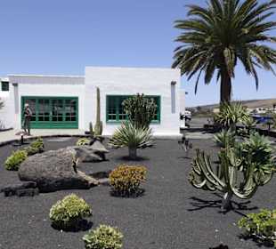 Anbaumöglichkeiten in der Lava