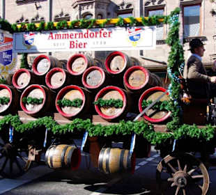 Ammerdorfer Bier 6er Span