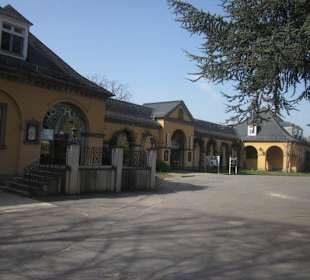 Zoo Heidelberg 