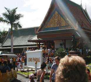 Ein Muss Loro Parque