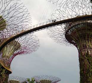Gardens by the Bay - Singapore