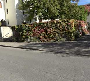 Katholische Pfarrkirche St. Stephanus Eutingen im 