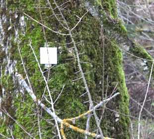 Wanderung rund um den Ochsenweiher