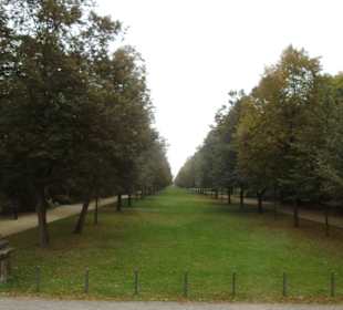 Großer Garten