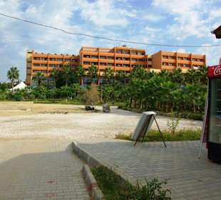 Inspirationen an d.Strandprom.entlang Nov.2010