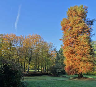 Herbstspaziergang durch den Schlosspark Lütetsburg