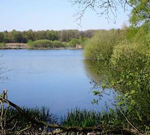 Spaziergang an den Ahlhorner Fischteichen