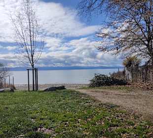 Wandern Friedrichshafen