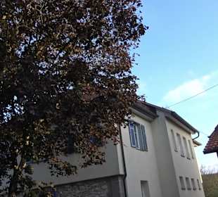 Evangel. Pfarramt Böhringen